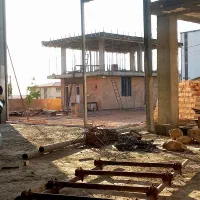 اجتماعی