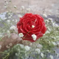 شمع|صنایع دستی و سایر لوازم تزئینی|دماوند, گیلاوند|دیوار