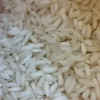 برنج عنبربو خوزستان