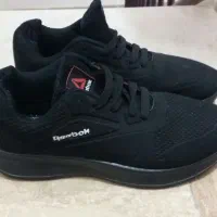 کتونی زنونه|کیف، کفش، کمربند|قائم‌شهر, |دیوار