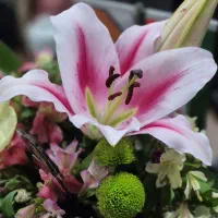 استخدام تمیزکار