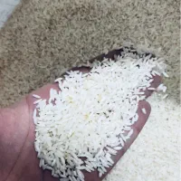 برنج علی کاظمی گیلان