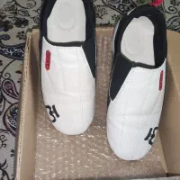 کفش تکواندو و ووشو