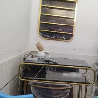 فروش میز و صندلی .ترولی و استند لاک