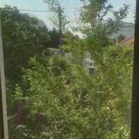 ویلا. باغ دوبلکس دوخواب جای دنج|اجارهٔ کوتاهمدت ویلا و باغ|رویان, |دیوار