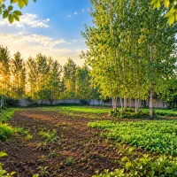 ۱۸۰۰ متر زمین مسکونی دیوارکشی‌شده ،قابل تفکیک