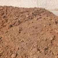 فروش بار گاوی