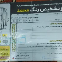 پژو۴۰۵ دوگانه کارخانه|خودرو سواری و وانت|چناران, |دیوار