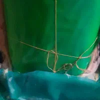فروشنایلونیووی۵درصدنونوهست