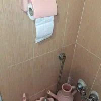 سرویس بهداشتی