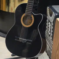 گیتار مشکی + آموزش در پردیس