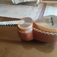 تار صدفی