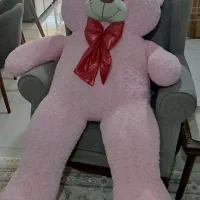 خرس یک متر و نیم