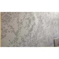اجرای میکروسیمنت سیمانی برای اولین بار در قزوین|مصالح و تجهیزات ساختمان|محمدیه-قزوین, |دیوار