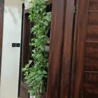 115 متری/شیک/دو‌معبر/غرق نور/تحویل یک ماهه