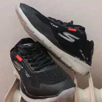 . کتونی اورجینال. ویتنام. فنچ