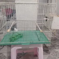 قفس با لونه کوتوله|لوازم جانبی حیوانات|اردکان, |دیوار