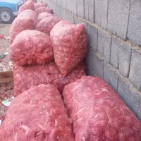 پیار قرمز درجه یک بیل آب