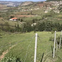 فروش-1000-متر-زمین-زیر-قیمت-روستای-نیرس