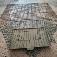 قفس پرنده|لوازم جانبی حیوانات|تاکستان, |دیوار