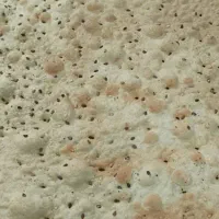 نان خشکه شیرین ( نان بیسکوئیتی)|خوردنی و آشامیدنی|شاهینشهر, طالقانی|دیوار