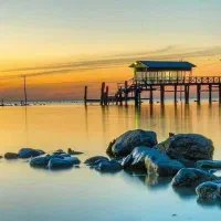 پاتنر برای ورزش پیاده روی و کافه