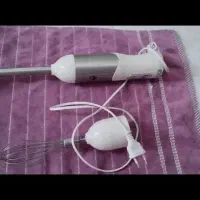 گوشتکوب برقی با هم زن