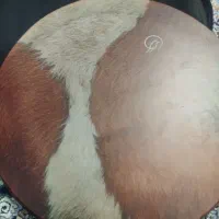 آموزش ساز دف