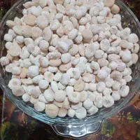 کشک دوغ وشیراز و ماست محلی