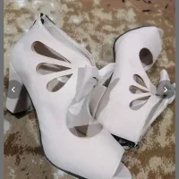 کفش مجلسی