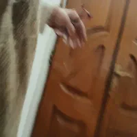 خانه شمالی مستقل