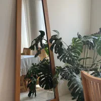 آینه قدی - آینه ایستاده