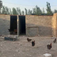 500متری-سند-با-کد-رهگیری-انشعابات-کامل