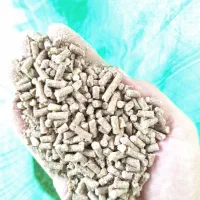 دان مرغ تخمگذار بومی وزینتی.