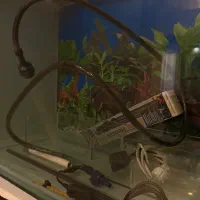 اکواریوم|ماهی|رشت, کوی جام جم|دیوار