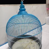 قفس پرنده نو