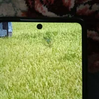 موبایل Samsung Note 20|موبایل|تهران, وصفنارد|دیوار