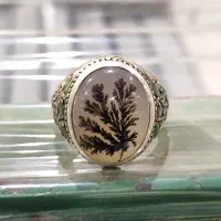 شجر تک درخت اس