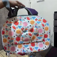 سگ اشپیتز پامر خرسی|سگ|شیراز, شهرک مطهری|دیوار