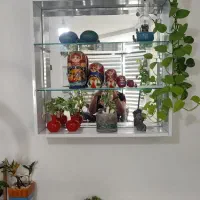 شلف، قفسه، سبقه، ویترین|کتابخانه، شلف، قفسه‌های دیواری|شیراز, میدان قائم|دیوار