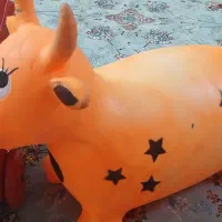 اسب بادی