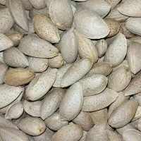 بادام سنگی