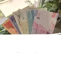 شریک سرمایه گذار لازم دارم