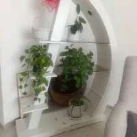 استند