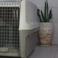 باکس حمل سگ