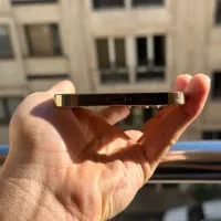 Apple 12 pro max 256|موبایل|تهران, پونک|دیوار