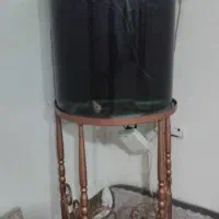 یه عدد آکواریوم باپایش به فروش میرسدوسه عددماهی