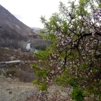 فروش باغ روستای مارکده کنار زاینده رود|فروش دفتر صنعتی، کشاورزی، تجاری|زاینده رود, |دیوار