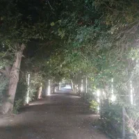 سیم‌کارت کد 1