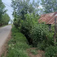 ویلا-روستایی